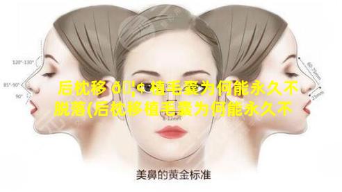 后枕移 🦢 植毛囊为何能永久不脱落(后枕移植毛囊为何能永久不脱落的原因)